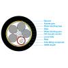 YOFC ADSS-XOTKtsdD aerial self-supporting fiber optic cable 12J 1T12F, G.652.D, 2 kN, span 60 m